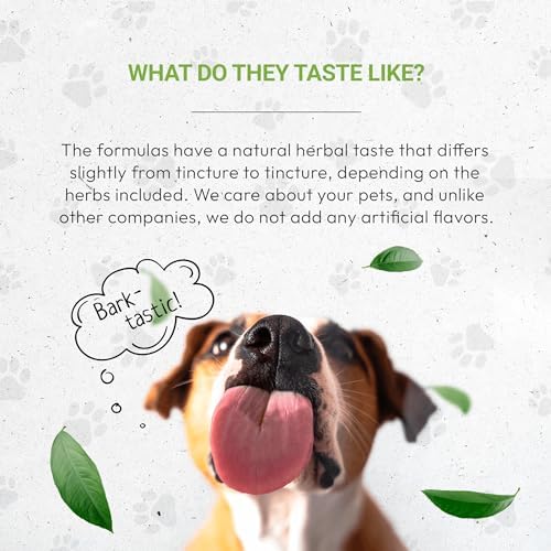 Wolf's Kidney | Natural Herbal Dietary Supplement | Healthy Kidney Function Support in Dogs | Alcohol-Free Extract, Dandelion Root, Calendula, Linden, Chamomile, Fennel 2 oz