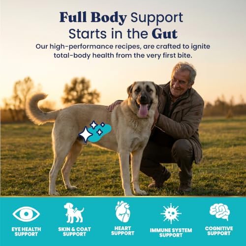Solid Gold, Hund-N-Flocken, Dog Food Dry with Lamb, Rice and Omega 3 Fish Oil for Dogs, Probiotics, 12 LB