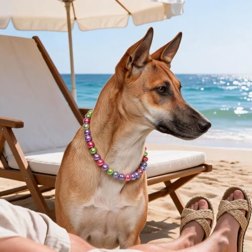 Big Pearl Dog Collar,Strong Stainless Steel Wire Rope