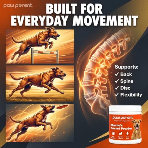 Paw Parent Macho's Secret Powder, Green Lipped Mussel Hip & Joint Powder for Dogs, Spine and Disc Powders, Cardiac Shield Formula with Glucosamine, Msm & Omega-3 for Mobility Support，1Pc