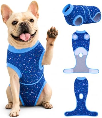 PetWarm Post-Spay Dog Suit, Dog Bodysuit for Spay Neuter, Galaxy, Blue, XS