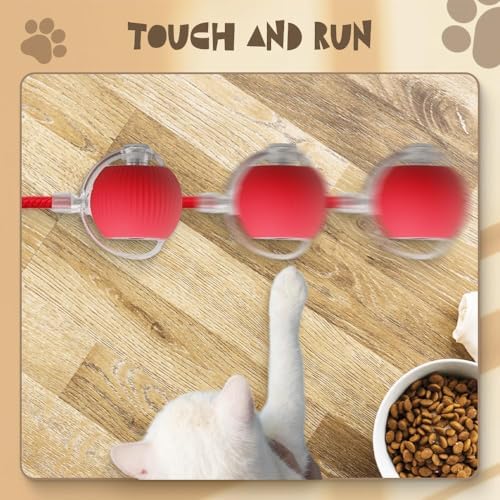 Interactive 2025 Upgraded Version Dog & Cat Toy, Intelligent Automatic Rolling Ball (Green)