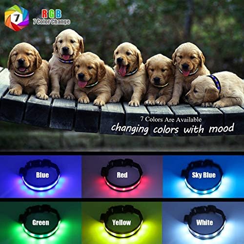 Light Up Dog Collars,Safety LED Dog Collars USB Rechargeable 7 Changing Colors Glow in The Dark Dog Walking Light,Neon Adjustable Safety Buckle Lighted Dog Collar for Small/Medium/Large Dogs, S Size
