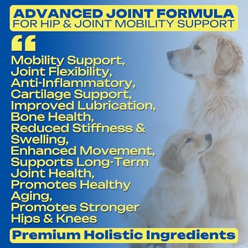 Glucosamine Joint Supplement for Dogs Joint Pain Relief – Glucosamine Chondroitin MSM & Turmeric Hip & Joint Support Chews for Large & Senior Dogs – 120 Ct