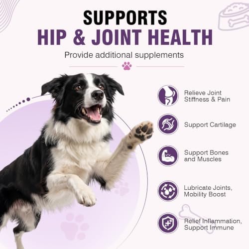 Hip and Joint Supplement for Dogs 200ct, Glucosamine Chondroitin for Dogs