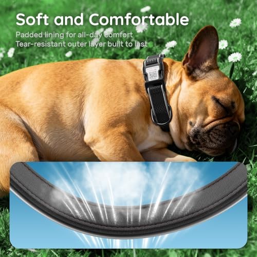 Reflective Dog Collar with QR Code Tag, Black, S (9.8"-15.7")