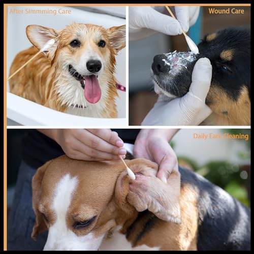 eyxformula 6" Dog Ear Cleaning Swabs with Extra Large Cotton Tips, 200 Pcs