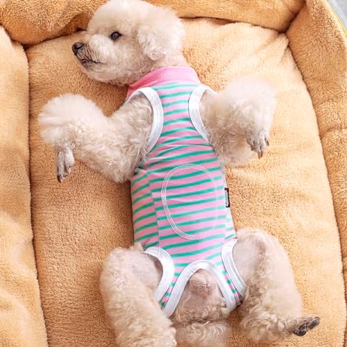 2 Packs Pet Dog Recovery Onesie Suit for Dogs Cats After Surgery,Dog Abdominal Wounds Bandages Cone E-Collar Alternative. (Grey, XXL)