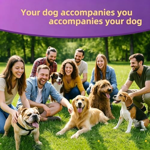 Dog Probiotic Chewable Tablets with Prebiotic, Apple Cider Vinegar & Papaya Powder, Pork Flavor Daily Digestive Supplement for All Breeds Dogs, 90 Count