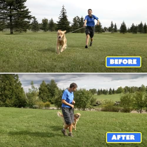 Barks No More Dog Training Device & Bark Deterrent - Stop Barking Without Hurting Your Pet - Just Point & Press!