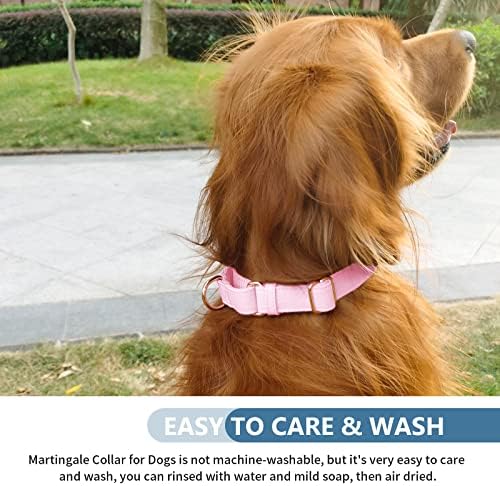 Soft Leather Martingale Dog Collar - Adjustable Rose Gold Limited Slip Collars [Easy to Clean], Stylish Durable Heavy Duty Nylon No Pull Training Collar for Small Medium Large Dogs L Pink