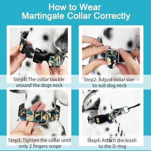 Martingale Collar for Dogs with Buckle No Pull, Golden Floral, S
