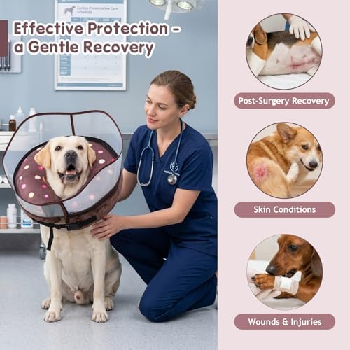 Avont 2-in-1 Dog Cone L Donut Shield