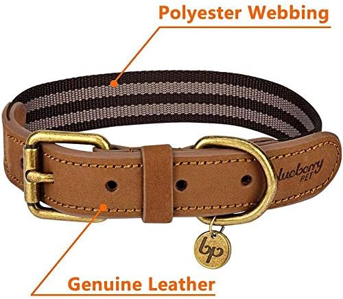 Blueberry Pet Soft & Comfy Leather Dog Collar - Adjustable Dog Collars for Small Dogs, Genuine Leather Collar for Dogs, Classic Striped Leather Dog Collars, Small, Neck 12"-15"