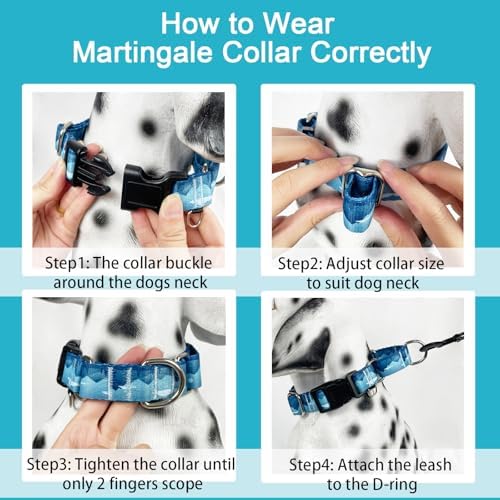 Martingale Collar for Dogs with Buckle Dog Collar Adjustable Soft Nylon Boy Dog Collars for Large Dogs, Blue Sunset