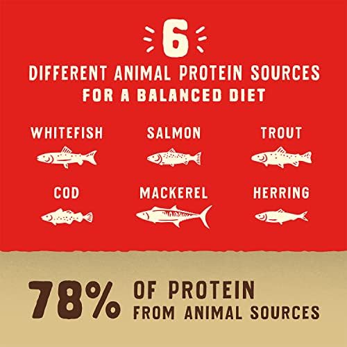 Stella & Chewy's Wild Red Dry Dog Food Raw Coated High Protein Wholesome Grains Ocean Recipe, 3.5 lb. Bag (Pack of 2)