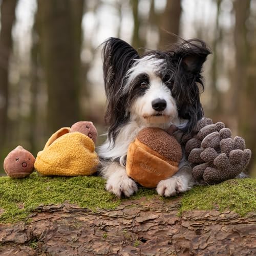 CHEWFFON Interactive Dog Toy, Enrichment Crinkle Treat Puzzle Toys