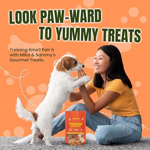 Gourmet Chicken Jerky Dog Treats Made in The USA. Cage-Free, No additives (Pumpkin Chicken 5 0z)