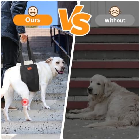 Adjustable Dog Sling for Large Dogs Hind Leg Support Weak Legs Mobility Aid