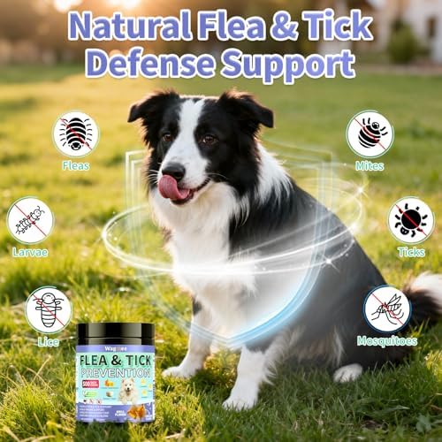 Flea and Tick Prevention for Dogs, 500 Crunchy Tasty Chews, Chicken Flavor