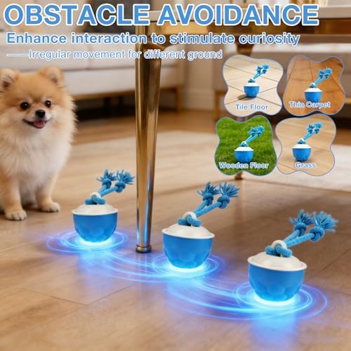 Interactive Dog Ball Toy (3.35x2.76in), 2026 Upgraded Automatic Rolling Ball with 3 Modes, USB Rechargeable, Smart Motion Pet Ball, for Small Medium Large Dogs Indoor Outdoor Play (Orange)