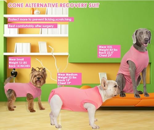 Recovery Suit for Female Dogs, Dog Cone Alternative After Spay