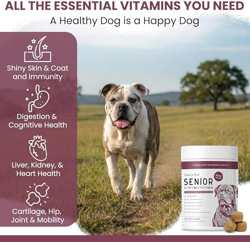 Senior Dog Vitamins and Supplements - 60 Soft Chew Multivitamin for Dogs