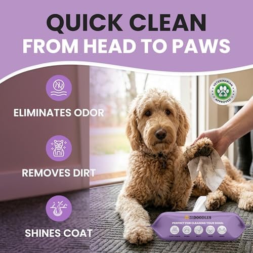 Dog Wipes, Deodorizing & Cleaning, Lavender Scent, Made in USA, 100 Count