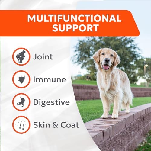 Nutramax Cosequin 4-in-1 Support Supplement for Dogs, Soft Chews, 7ct (Pack of 2)