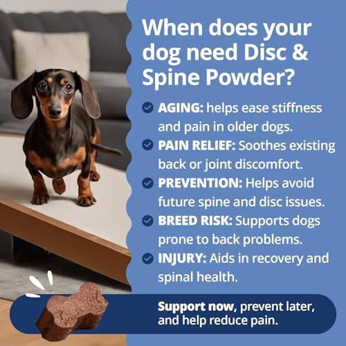 Under the Weather Disc & Spine Health Powder for Dogs | Spinal Disc Support | Vet Formulated Dog Joint Supplement for Long-Backed Breeds | IVDD Dog Supplies | Chicken Flavor Packets - 30 Day Supply L