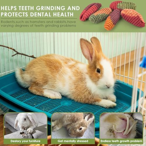 ERKOON Chinchilla Treats, Timothy Grass Chew Toys for Teeth for Rabbit Guinea Pig Gerbil Rat Dwarf Hamster (Large Size-1 Pack)