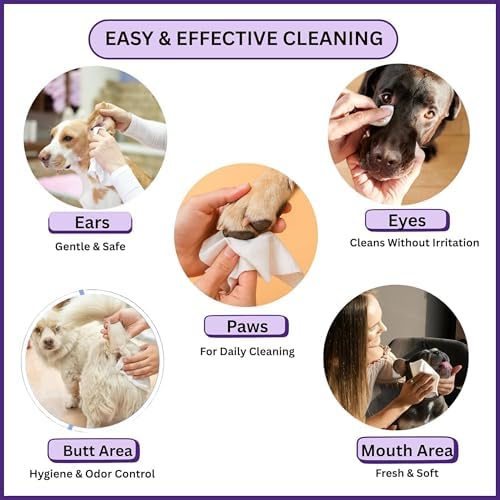 Aurora Pet Wipes – 100% Natural, Plant-Based Hypoallergenic Grooming Wipes for Dogs & Cats – Extra-Durable, Large & Thick for Effortless Cleaning (Lavender, 100 Count)