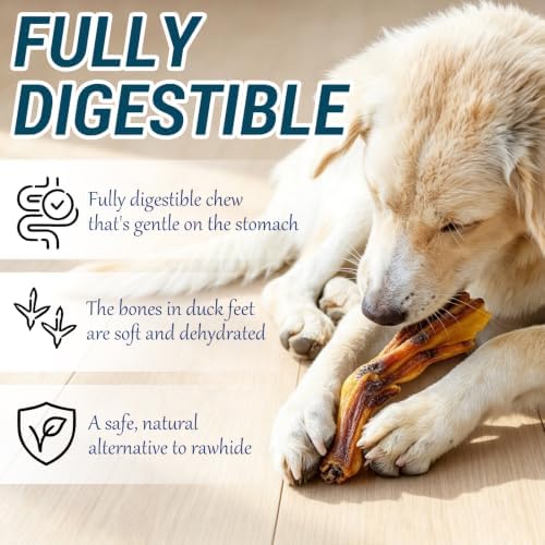 Duck Feet for Dogs, 12 Count Dog Chews Joint & Dental Health Supplement