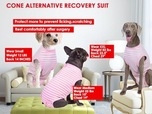 Recovery Suit for Female Dogs, Dog Cone Alternative After Spay