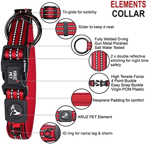 Dog Collar Bundle | Includes Red, Medium (Width- 3/4", Length - 17"-21.5") & Blue, Small (Width- 5/8", Length - 15"-17") | Padded Dog Collars with O-Ring | Soft & Comfortable Fit for Dogs