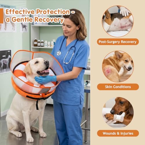 Avont 2-in-1 Dog Cone M+ Swimring Shield