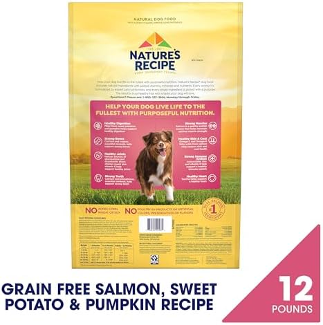 Nature's Recipe Grain Free Dry Dog Food, Salmon, Sweet Potato & Pumpkin Recipe, 12 lb. Bag