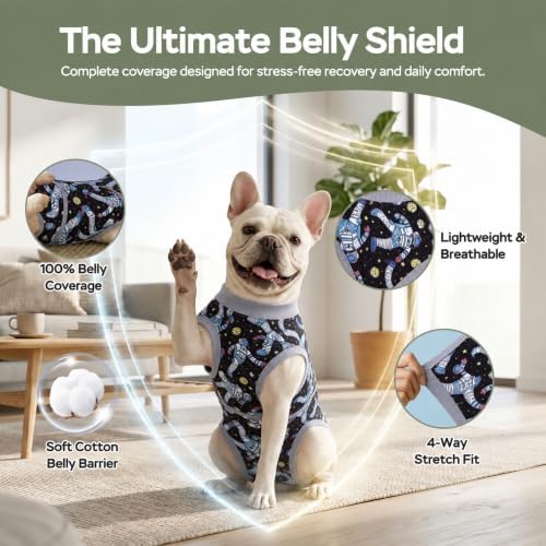 PetWarm Dog Spay Recovery Suit, Recovery Suit for Dogs, Cosmic, Grey, XS