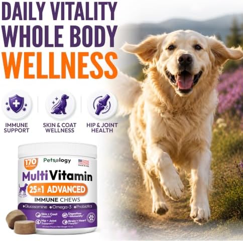 (2 Pack) Dog Multivitamin Chewable, 340 Chews, Dog Vitamins and Supplements