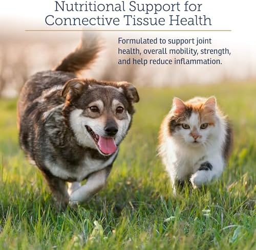 Rx Vitamins NutriFlex for Cats & Dogs - Beef Liver Flavor - 90ct