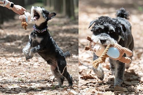 Squeaky Dog Toy Chew Plush Stuffed with Cotton Rope Crinkle Paper Soft Interactive Durable for Small Medium Large Dogs Puppy Pet Brown Monkey