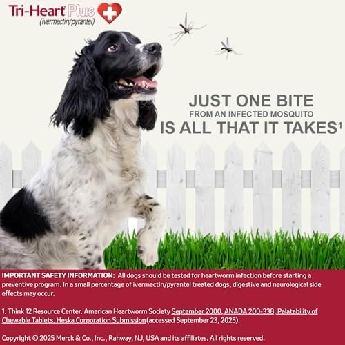 TRI-HEART PLUS Chewable Tablet for Dogs, 51-100 lbs (Brown Box), 6 Chewable Tablets, 6-Month Supply