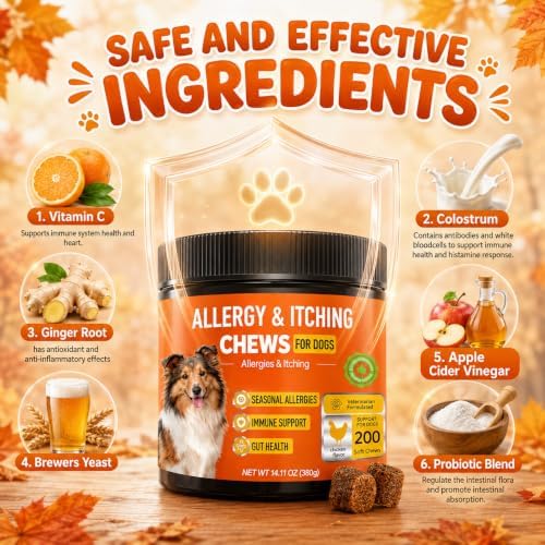 Dog Allergy Chews 200 Ct - Itch Relief for Dogs Immune Support with Colostrum Probiotics Seasonal Allergies Anti-Itch Skin & Coat Supplement, Itchy Skin & Paw Relief Bites - Chicken Flavor
