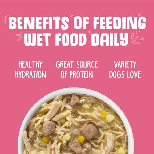 Weruva Classic Dog Food, Amazon Livin' with Chicken Breast & Chicken Liver in Pumpkin Soup, 5.5oz Can (Pack of 24)