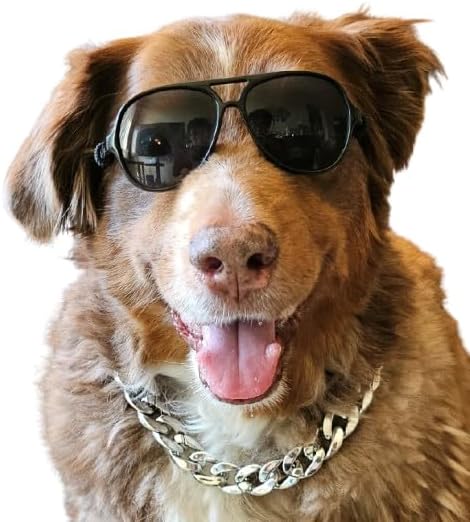 C15 Dog Pet Costume Set Retro Sunglasses Glasses + Chain Adjustable for Medium Breeds Approximately 18-40 lbs Party Prop Cosplay Photoshoot (Aviator Black + Silver Chain)