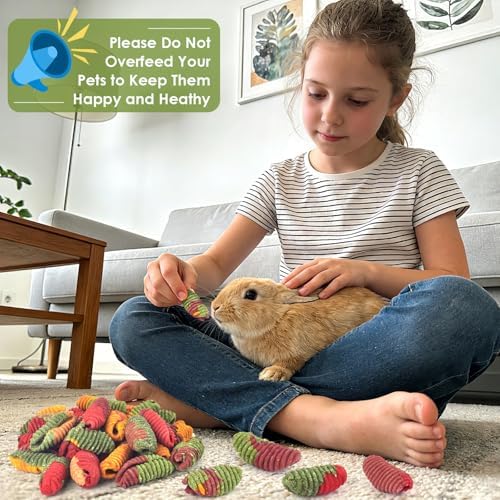 ERKOON Chinchilla Treats, Timothy Grass Chew Toys for Teeth for Rabbit Guinea Pig Gerbil Rat Dwarf Hamster (Large Size-2 Pack)