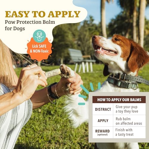 Natural Dog Company PawTection Dog Paw Balm, 4 Pack, Protects Paws from Hot Surfaces, Sand, Salt, & Snow, Organic, All Natural Ingredients (0.15 oz Travel Stick) X 4