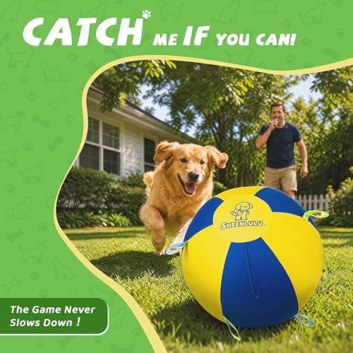 18" Herding Ball for Dogs with Straps & Training Whistle