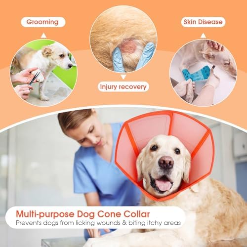 Allroaring Dog Cone Waterproof Pet Recovery Collar Anti Lick, Orange L
