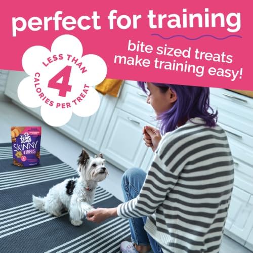 Fruitables Skinny Mini Dog Treats, Training Treats, Grilled Bison, 12oz